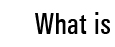 what is Z